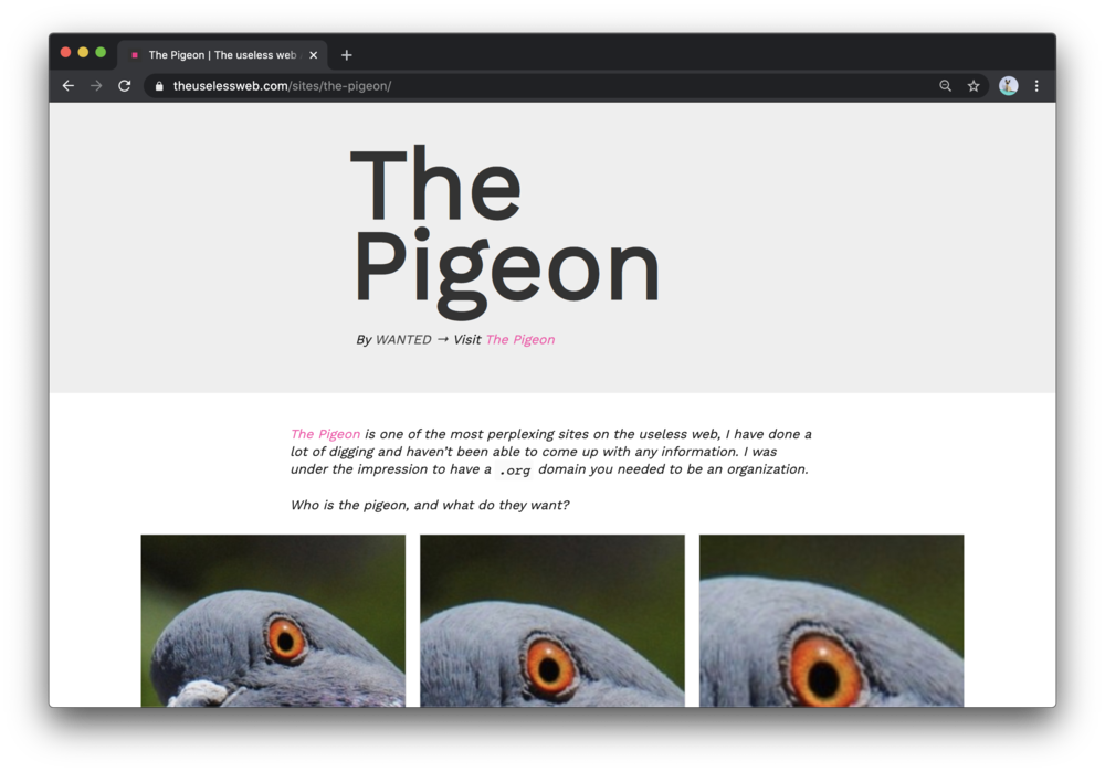 Screenshot of The Pigeon Website